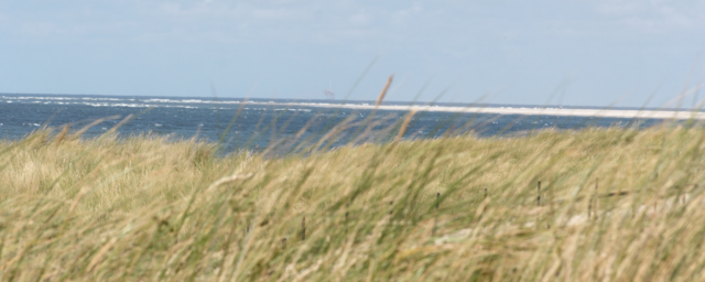 Flughafen Texel