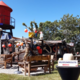 Maritiem en Juttersmuseum
